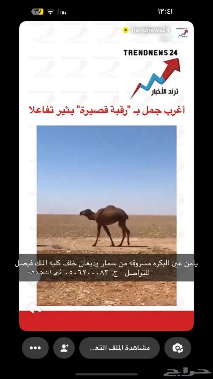 مسروقه بكره 0