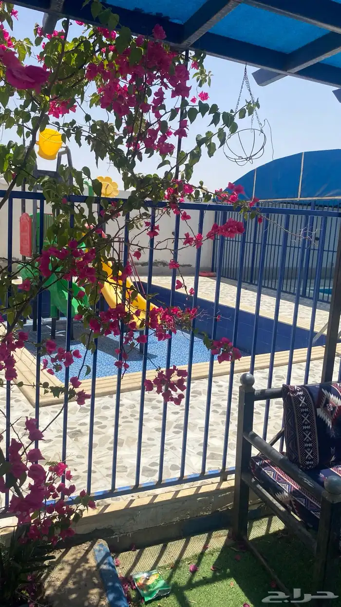 شاليه الصالح للاييجار يوجد العاب مائيه 0