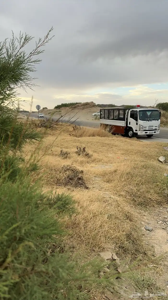دينة توصيل اثاث مواشي خضار توصيل الئ جميع انحاءالمملكة 0