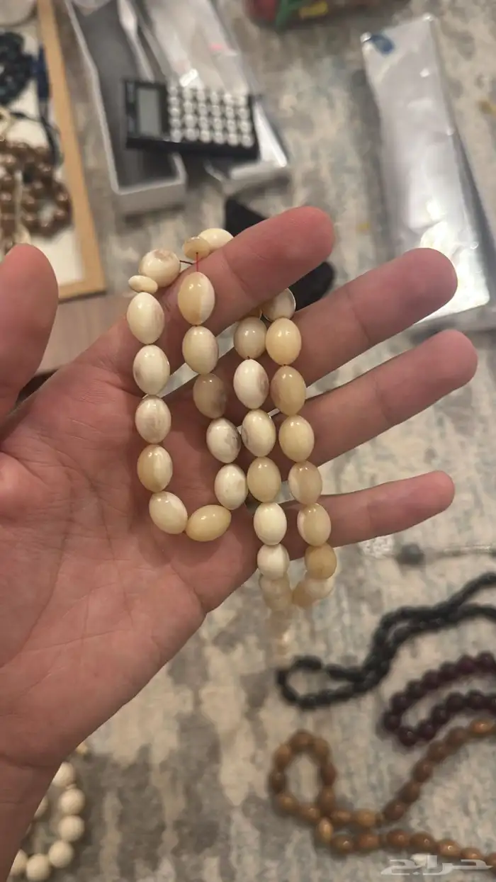 سبح ماموث وعاج ونوادر وكعرمان الي يبي يتواصل واتس 5