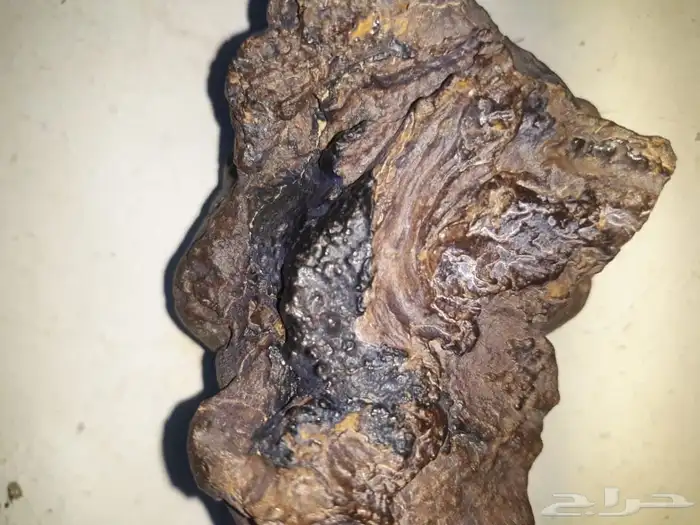 احجار نيزك لا يجذبها المغناطيس 0