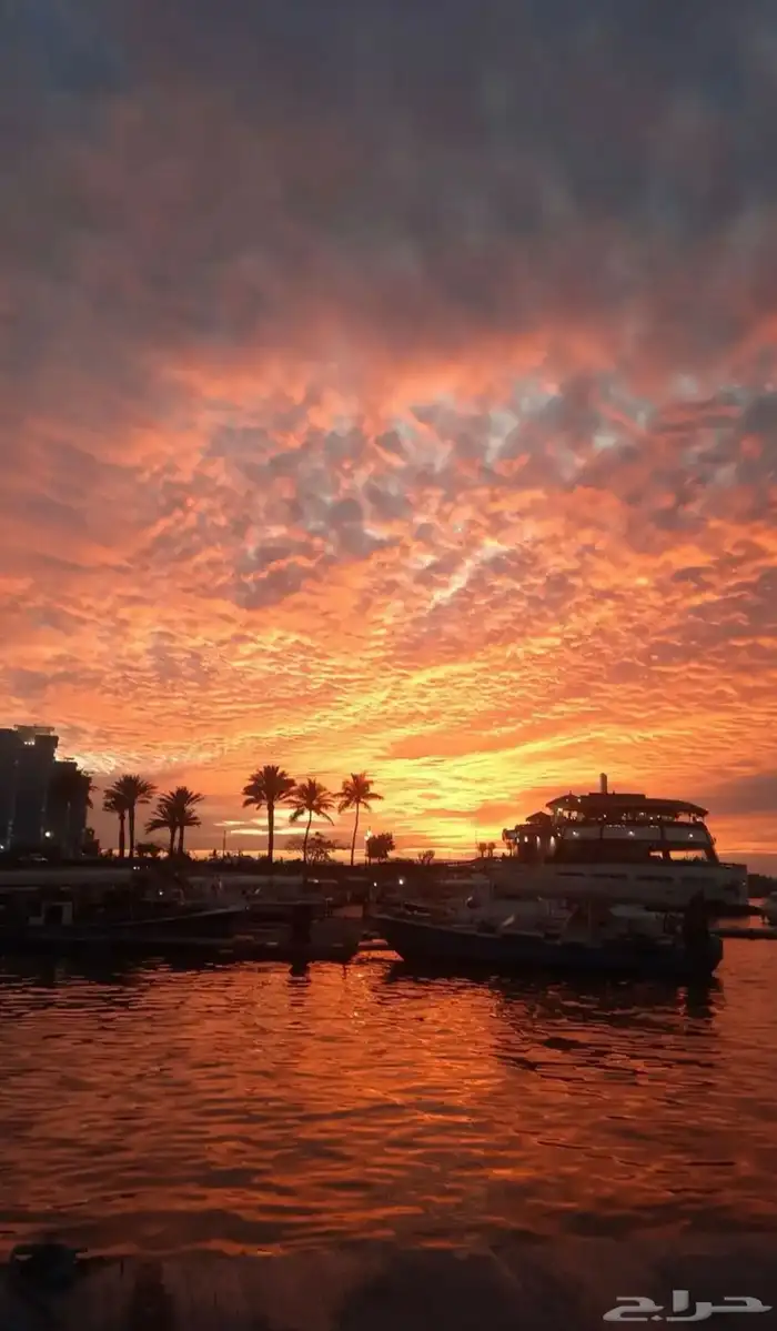 رحلات نزهه دخل شرم أبحر جدة أبحر الشماليه 6