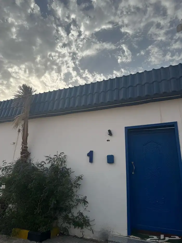 شاليه هاف داي 6