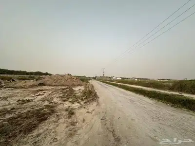 مزرعة للبيع -أرض زراعية موقع متميز- الاحساء- مزارع 2