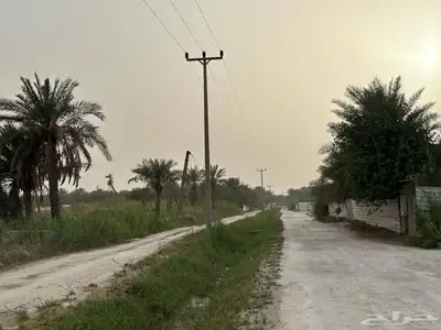 مزرعة للبيع -أرض زراعية موقع متميز- الاحساء- مزارع 3
