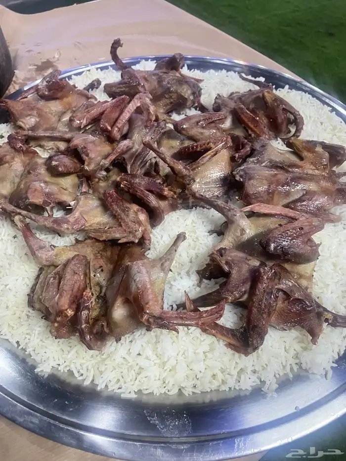 زغاليل فرنسي حنيذ وسليق مع المرق 3