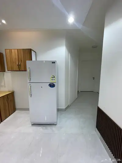 محجوزه فل 24