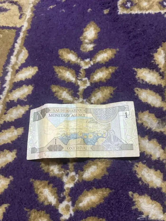 الريال ملك فهد على السوم البيع 1