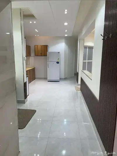 محجوزه فل 19