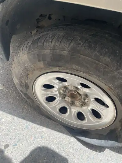 جنوط جمس ديازل شفر 1