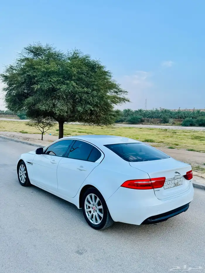جاكوار XE موديل 2017 11