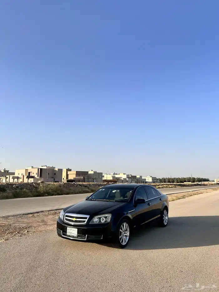 كابرس 2014 10