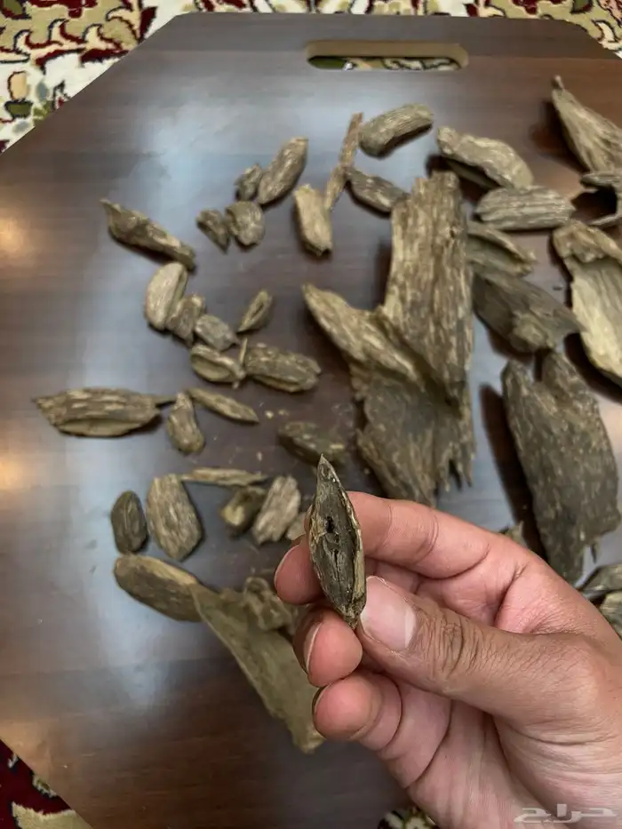 عود سومطري سوبر مرتفع 14