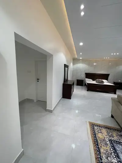 محجوزه فل 31