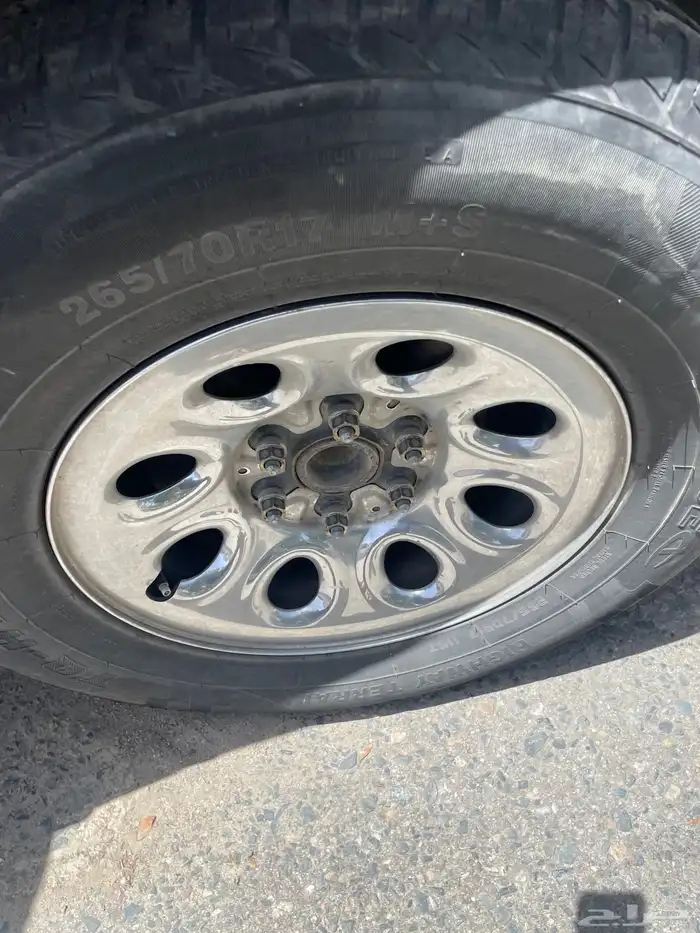 جنوط جمس ديازل شفر 3
