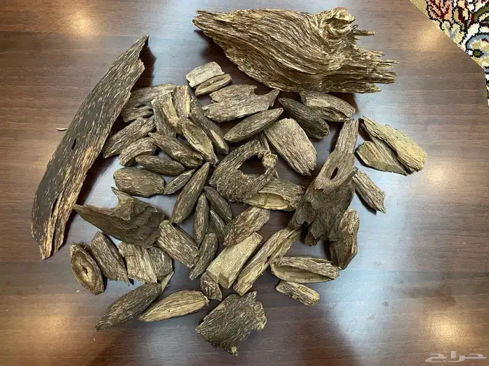 عود سومطري سوبر مرتفع 17