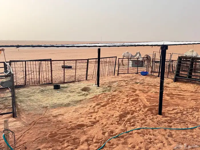 مضلات ابل غنم سيارات الجوده ضمان محل خمس سنوات 0