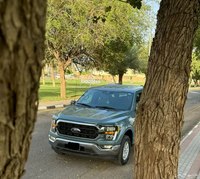للبيع فورد F-150 2023 12