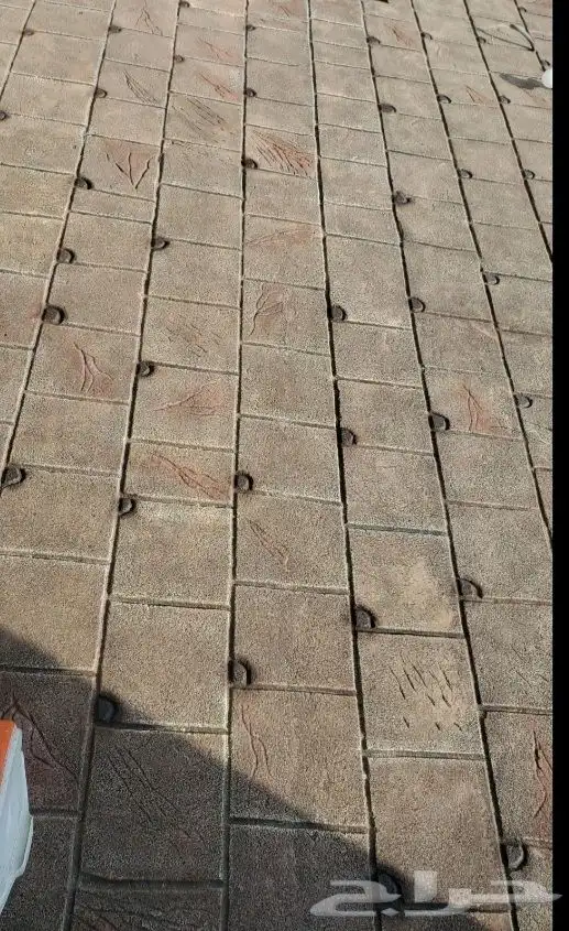 فني تنسيق الحدائق 87
