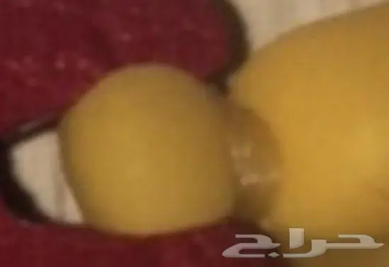 متجر ابو سويلم 0
