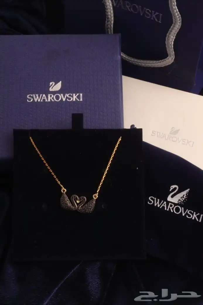 اساور سوارفيسكي 6