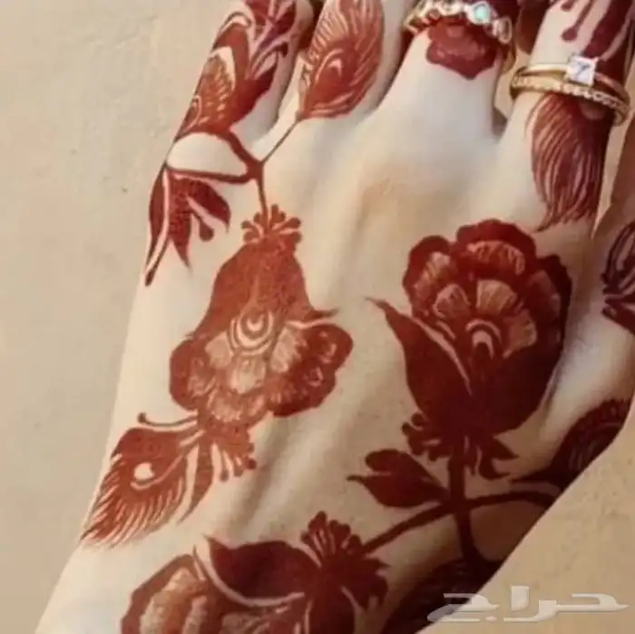 نقاشه أم الماس 16
