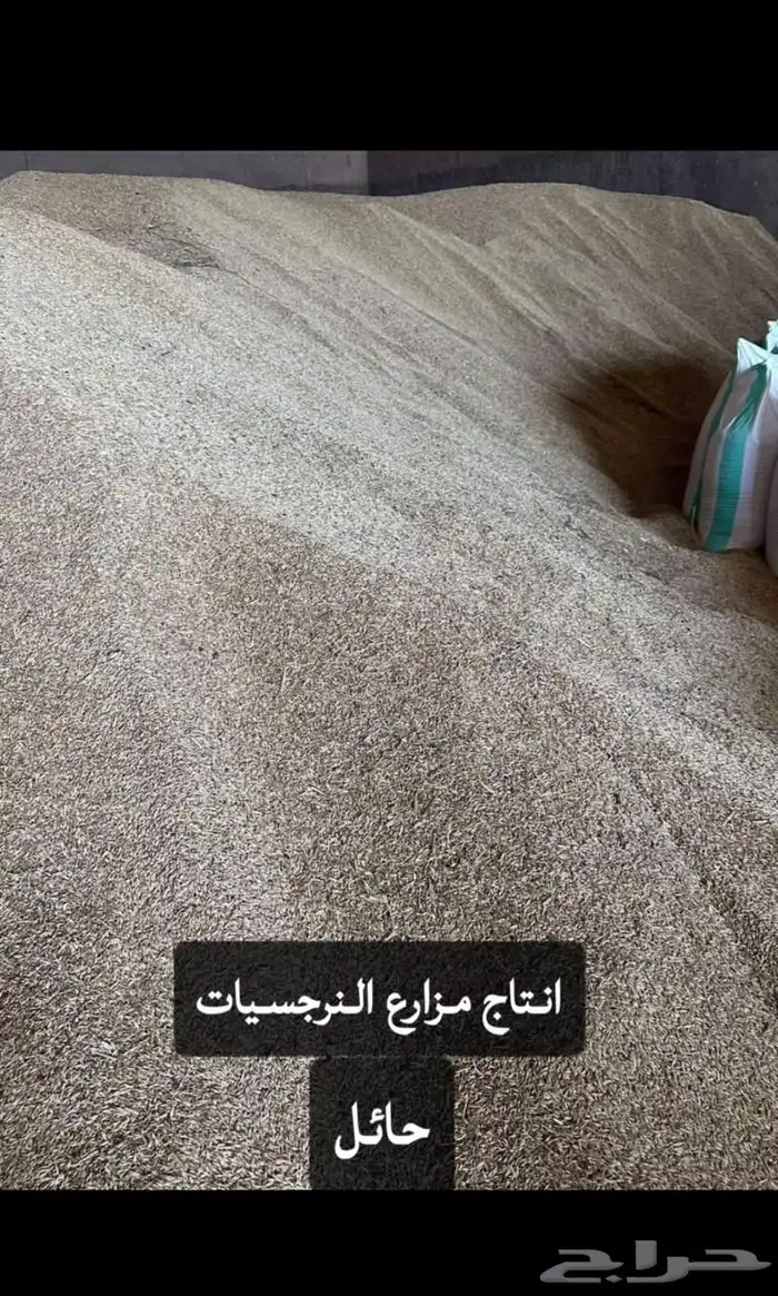 شعير سداسي نظيف للحلال 0