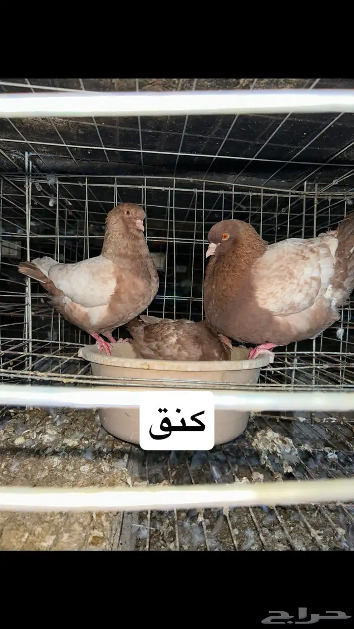 مشروع كامل 5