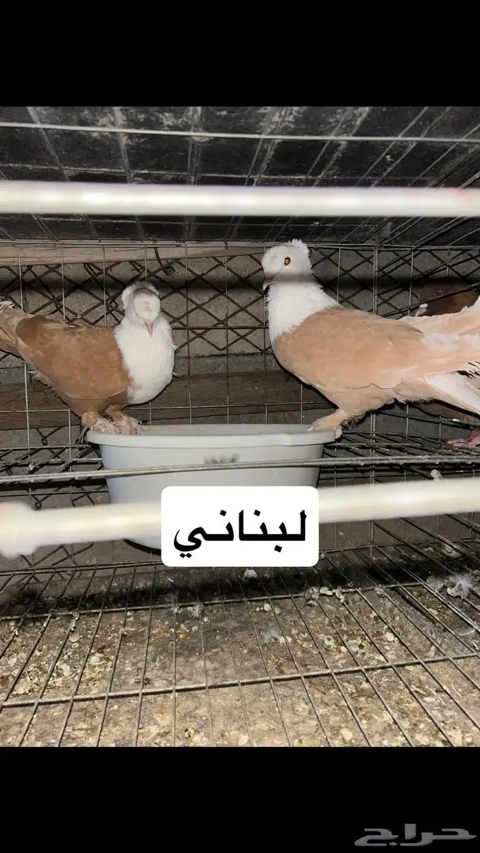 مشروع كامل 6