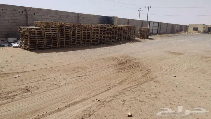 طبالى خشب للبيع عدد 300 حبة 0