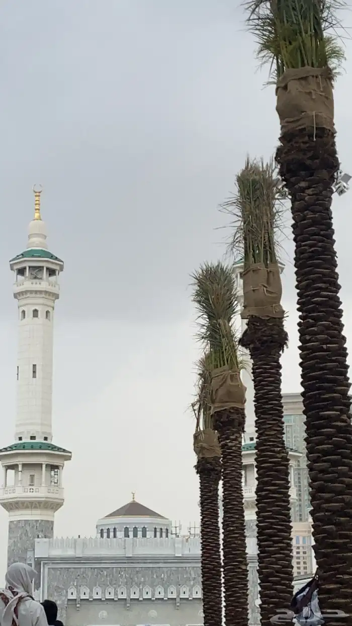 يلي يدور مصمم جرافيك ومصور تواصل معي 12