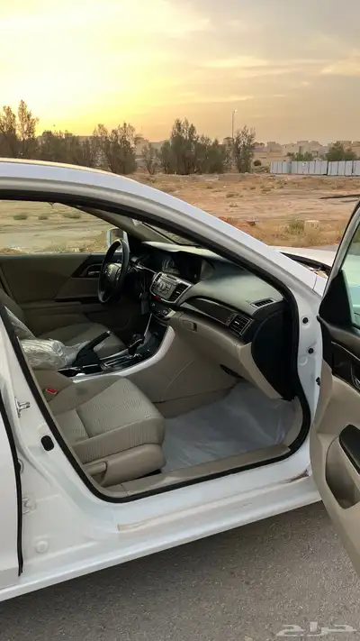 تم البيع 12