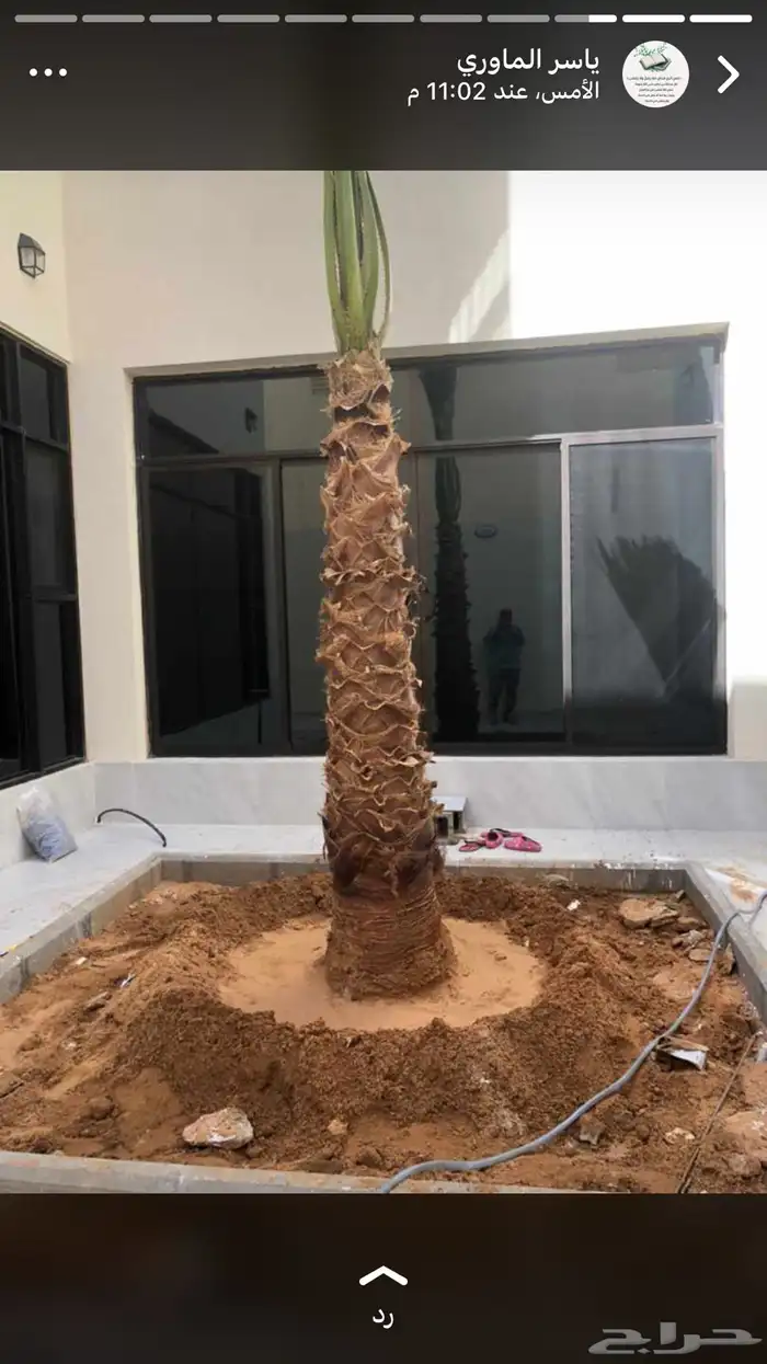 منسق حدائق تبوك 21