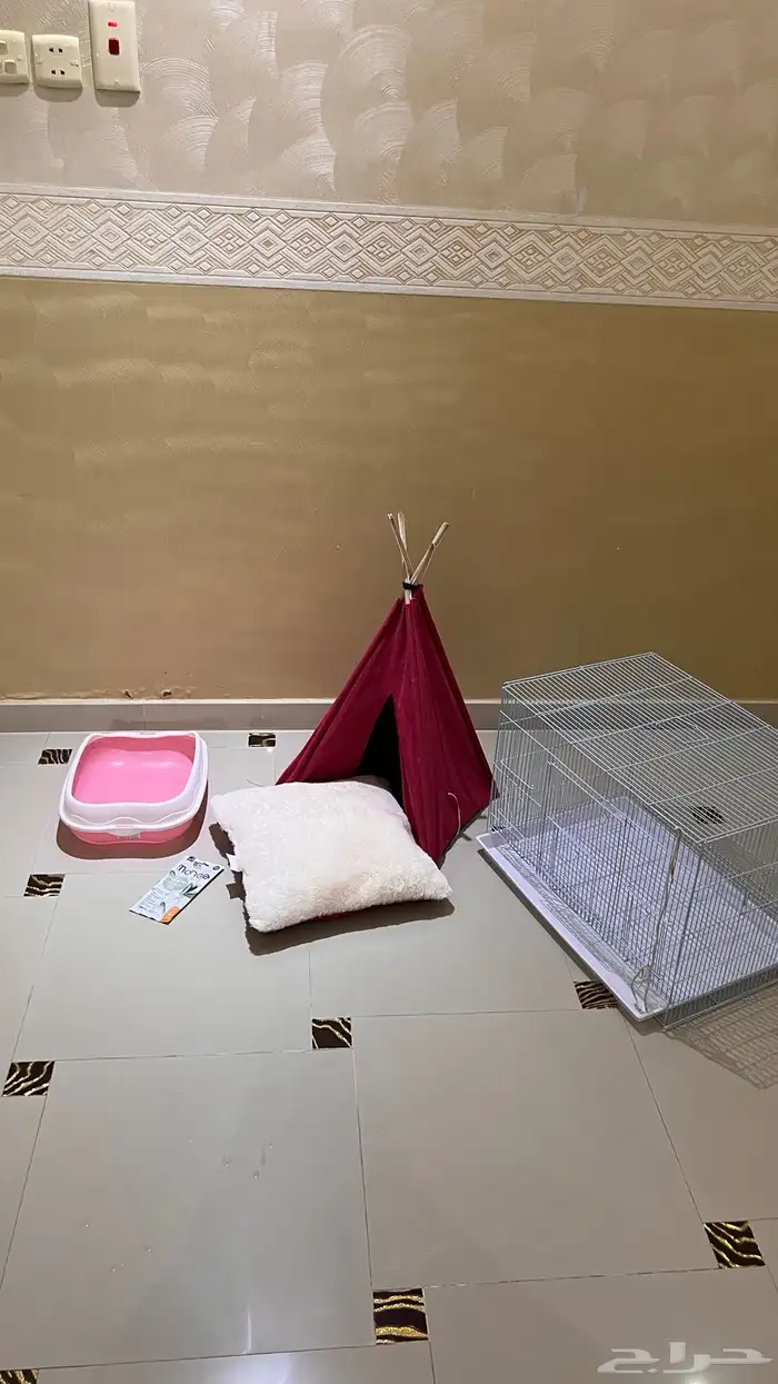 منتجات جديده استخدام بسيط 0