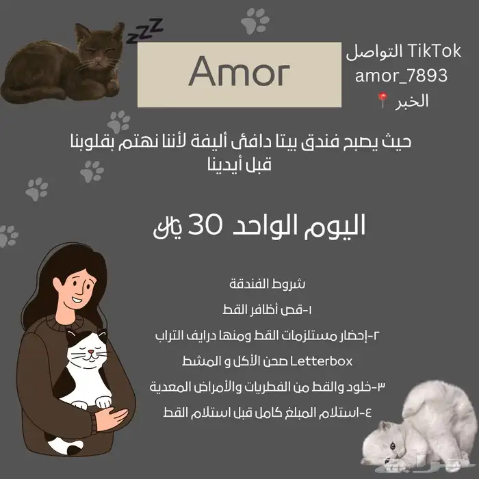 فندقه قطط 0