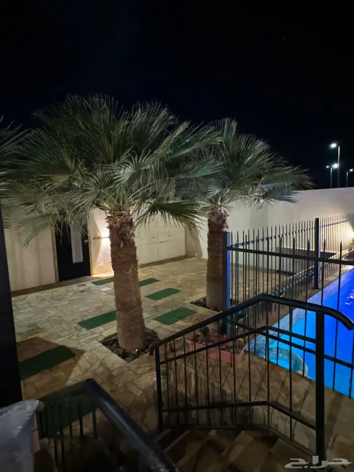 شالية كالما للإيجار اليومي 16