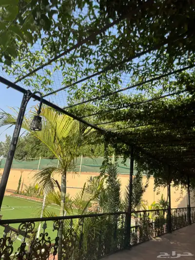 منتجع للايجار 31