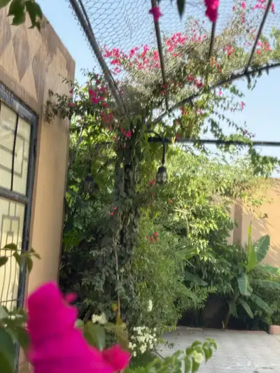 منتجع للايجار 7