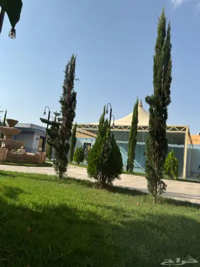 منتجع للايجار 23