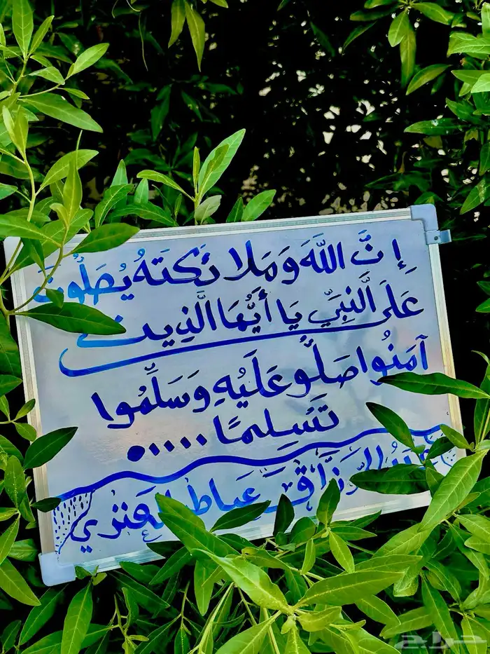 يلي يدور مصمم جرافيك ومصور تواصل معي 19
