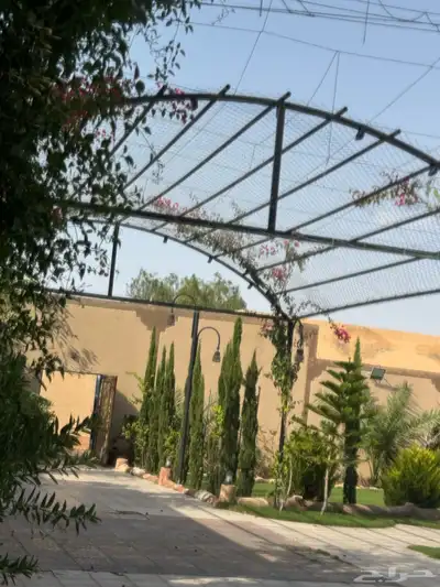 منتجع للايجار 5