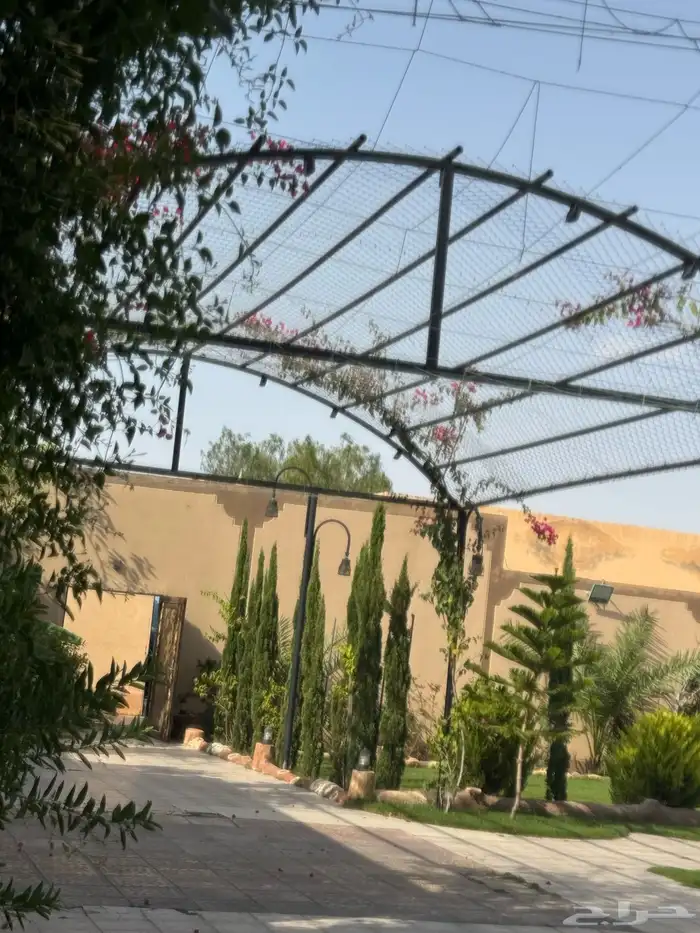 منتجع للايجار 5