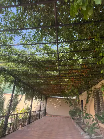 منتجع للايجار 30