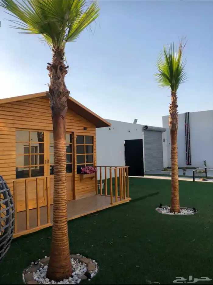 منسق حدائق تبوك 8