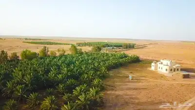 مزرعة للبيع جاهزة في البطين 11