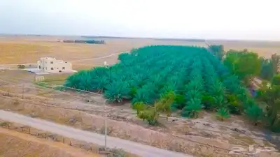 مزرعة للبيع جاهزة في البطين 10