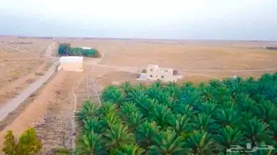 مزرعة للبيع جاهزة في البطين 13