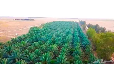 مزرعة للبيع جاهزة في البطين 1
