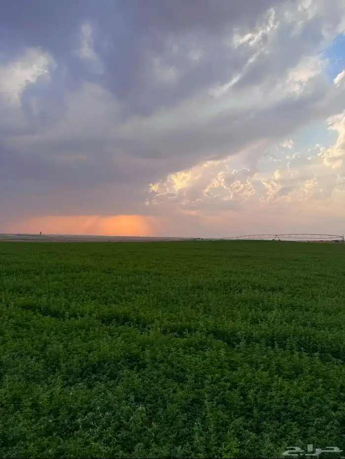مزرعة للبيع 2