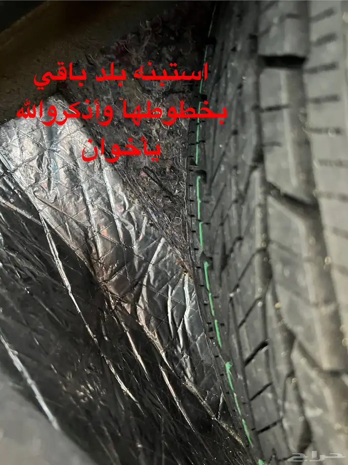 ((تم البيع)) داستررينو2020أعلافئه 21